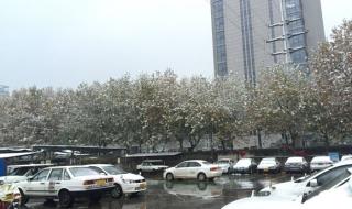 天保驾校报名点 天保驾校报名点