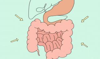 7月25日蚂蚁庄园答案 7月25日蚂蚁庄园答案