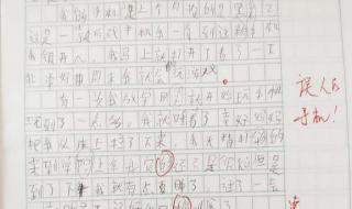 五年级上册同步作文 五年级上册同步作文