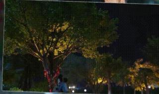 以家人之名吻戏 以家人之名吻戏