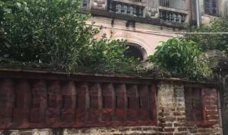 夏雨雨个人简介 夏雨雨个人简介