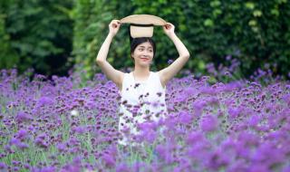 紫色心情是什么东西