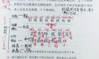 五年级上册语文