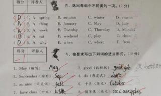 五年级期中考试卷 五年级期中考试卷