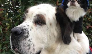 有爱到就好 有爱到就好