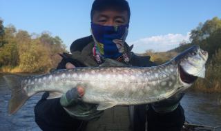 钓鱼发烧友攻略最新 钓鱼发烧友攻略最新