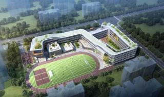 武汉一小学发生车祸 武汉一小学发生车祸