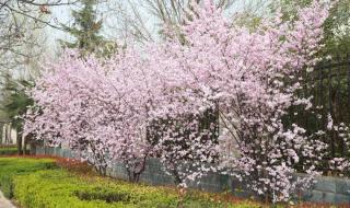 渭南市地图 渭南市地图