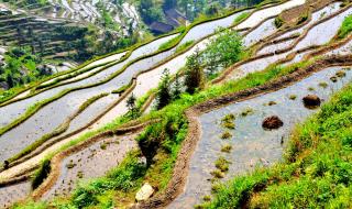 紫鹃界梯田 紫鹃界梯田