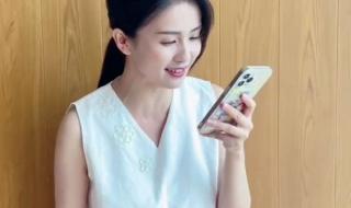 littlesheep littlesheep