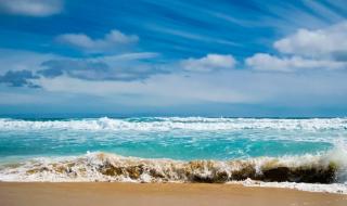 潮起潮落是什么都不为 潮起潮落是什么都不为