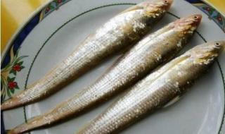 最贵的鱼是什么鱼 最贵的鱼是什么鱼