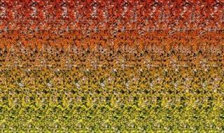 三维立体图怎么看 三维立体图怎么看