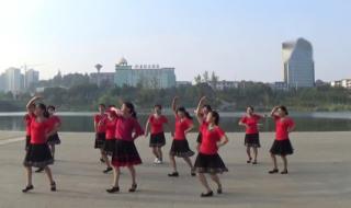 广场舞冬天里的白玫瑰 广场舞冬天里的白玫瑰