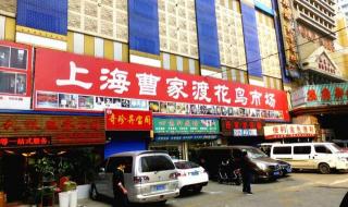上海食品批发市场 上海食品批发市场