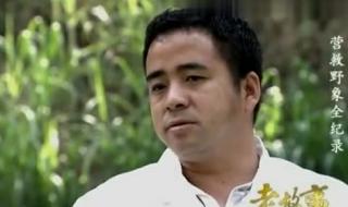 西双版纳野象伤人 西双版纳野象伤人