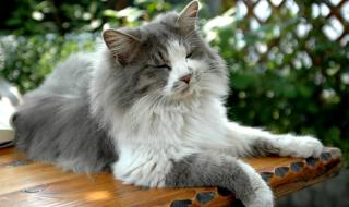 挪威的森林开车6分钟