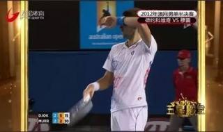 2012年澳网男单决赛 2012年澳网男单决赛
