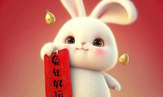 2023年最火兔子头像