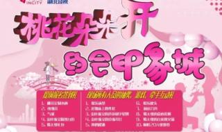 桃花朵朵开相亲节目