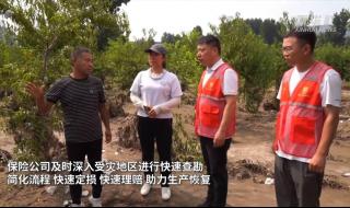 新华保险河北分公司