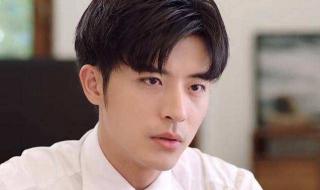 文笔好的京味高干文 文笔好的京味高干文