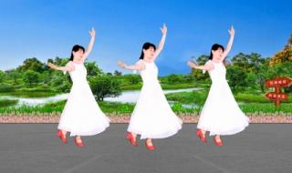 中老年广场舞大全 中老年广场舞大全