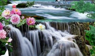 图片格式转换软件 图片格式转换软件